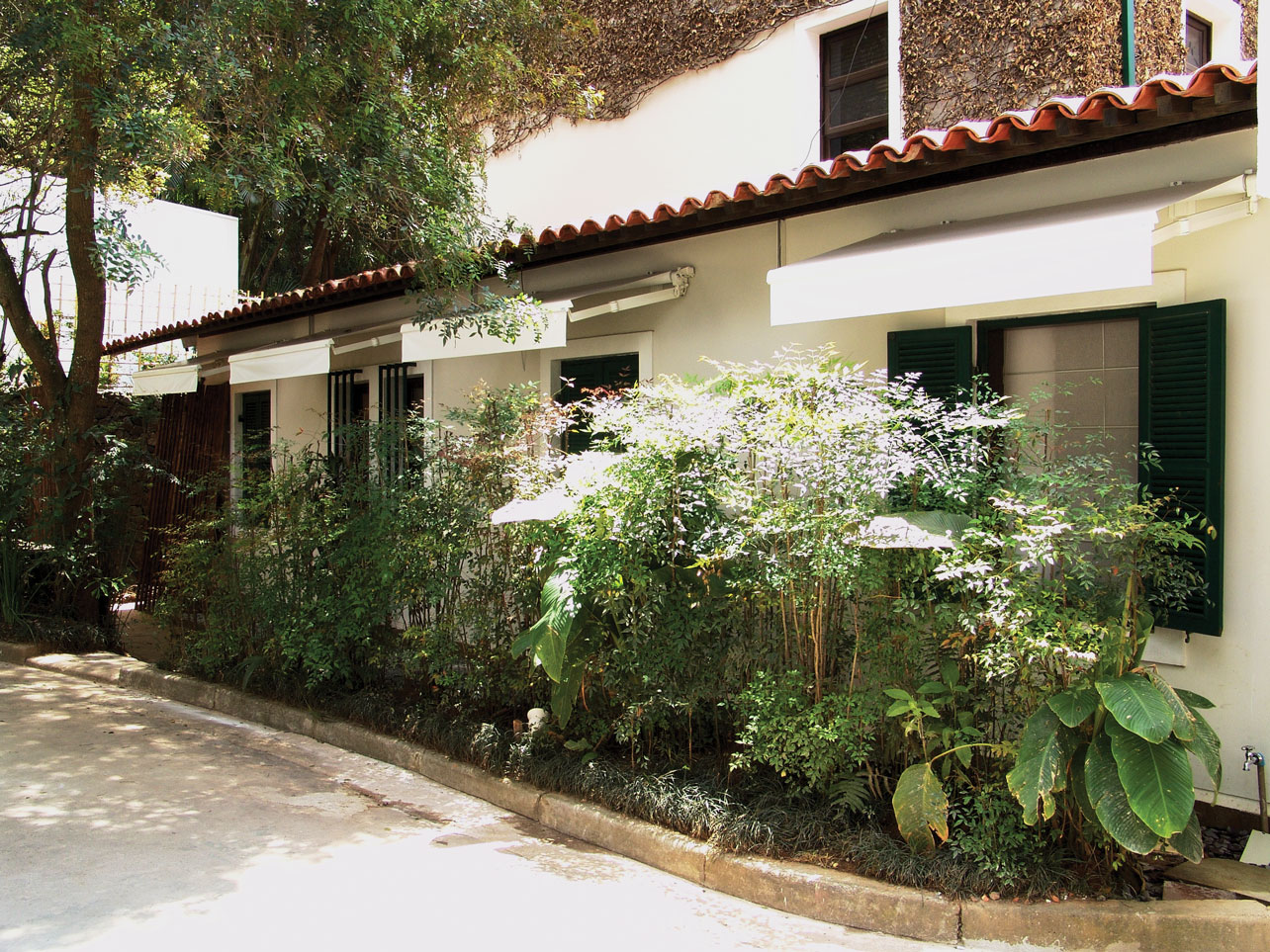 TOLDOS DE BRAÇOS RETRÁTEIS - AZUR - Imagem 5