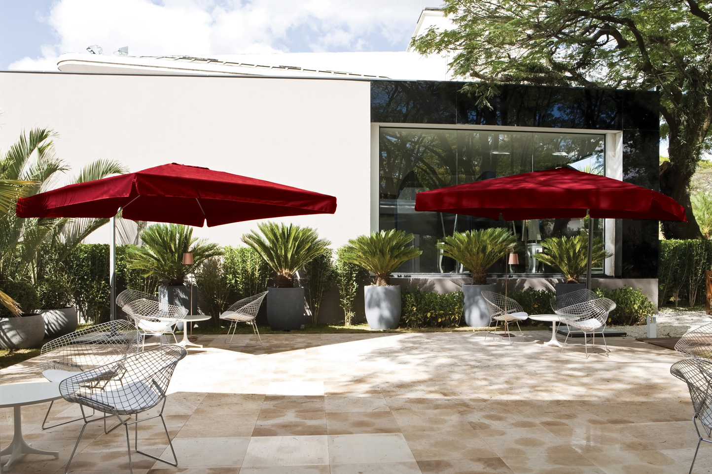 OMBRELONES VERANO - Imagem 5