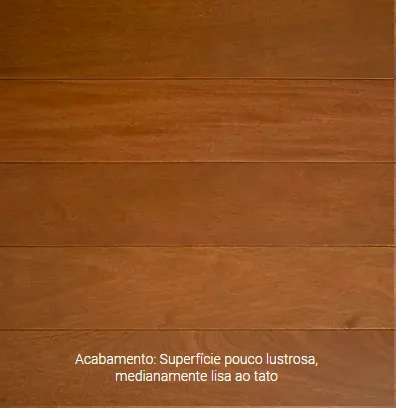 Ga Decorações Nova Friburgo Bioma Pantanal